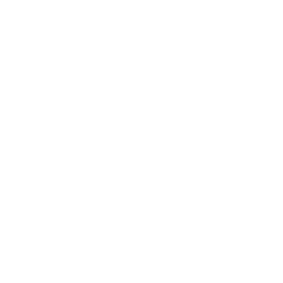 Project Management