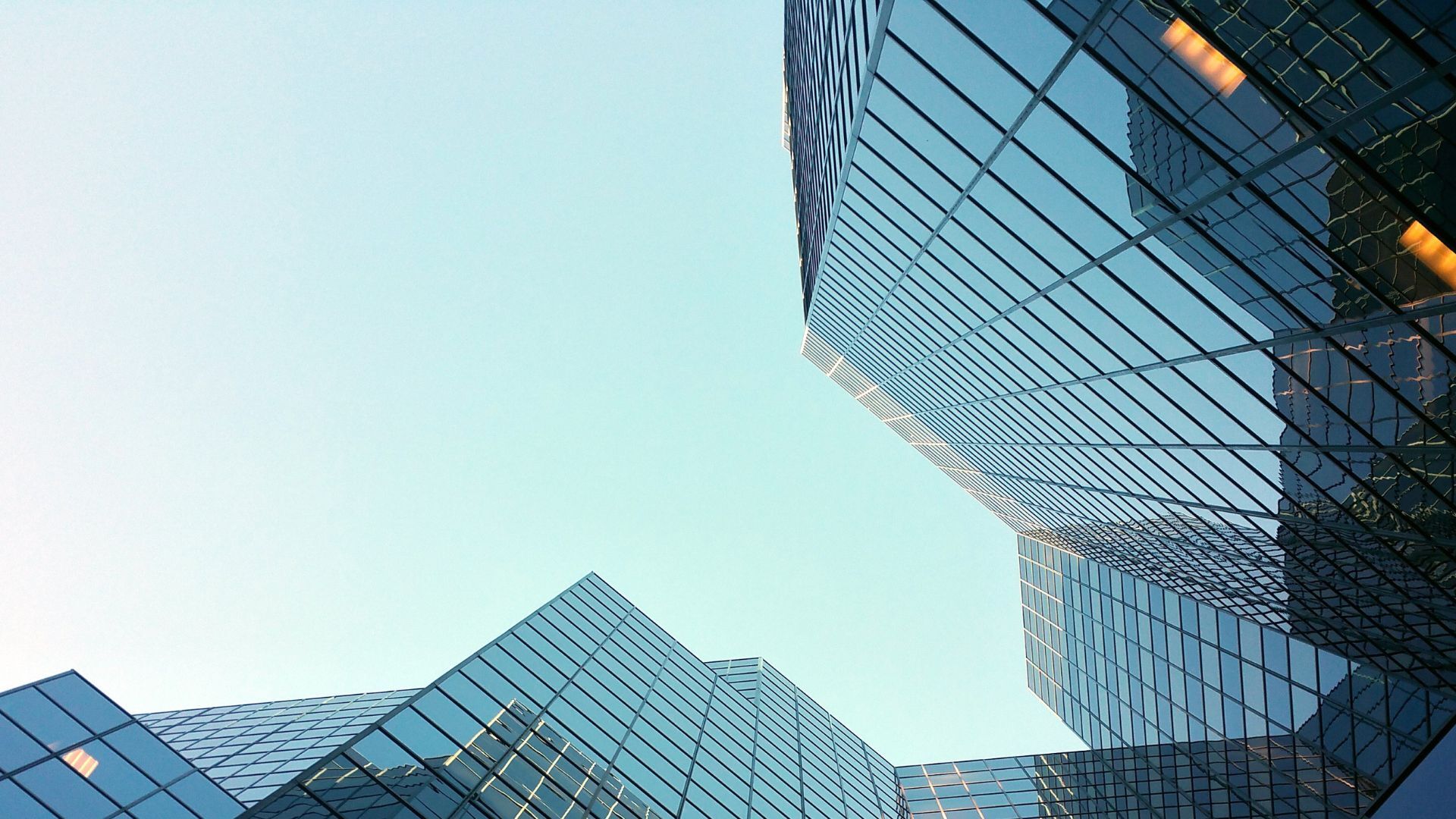 Tarantula Our Story: Telecom Tower Portfolio Management Expertise